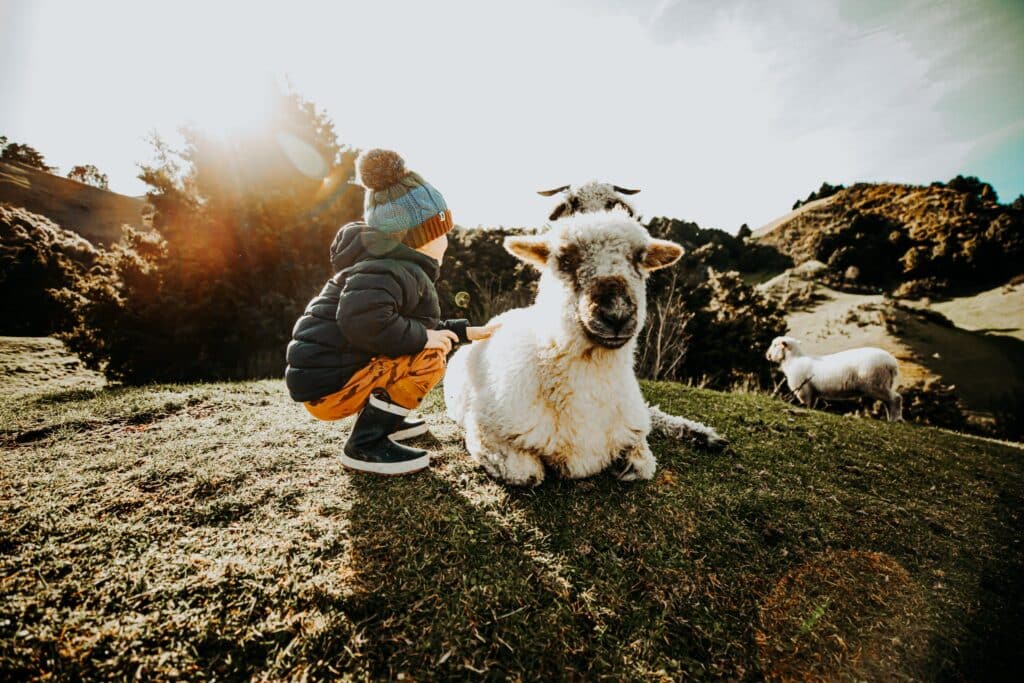 Fossil Creek Farm Animal Assisted Therapy