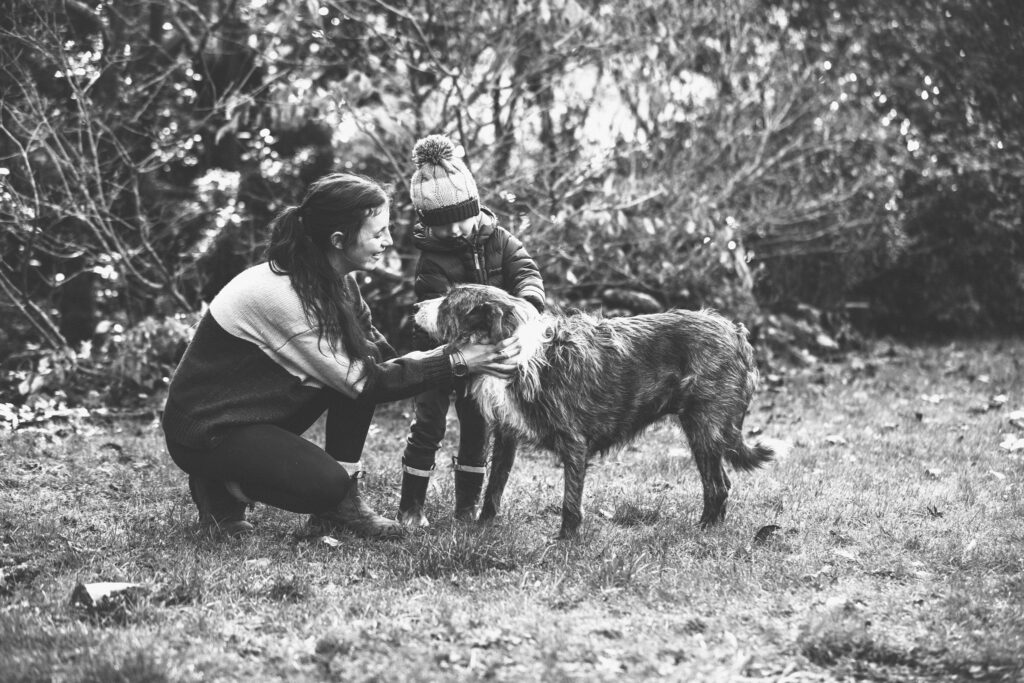 Fossil Creek Farm Animal Assisted Mental Health and Wellbeing Therapy